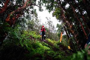 BIB: 
                            <button type="button" onclick="openModal(26203562)" class="btn btn-primary btn-sm float-right btn-popup" data-toggle="modal" data-target=".modal-high-quality">
                        <i class="fas fa-shopping-cart"></i> Add to Cart
                    </button>
                                            <button type="button" onclick="isThisMe(26203562, true)" class="btn btn-success btn-sm float-right btn-popup btn-isme hidden" data-toggle="tooltip" data-placement="bottom" title="นี่คือรูปของคุณใช่ไหม คลิกที่นี่เพื่อเอาเข้าอัลบั้ม">
                        <i class="fas fa-plus"></i> Add to album
                    </button>
                    <button type="button" onclick="isThisMe(26203562, false)" class="btn btn-warning btn-sm float-right btn-popup btn-isnotme hidden">
                        <i class="fas fa-ban"></i> Remove from album
                    </button>